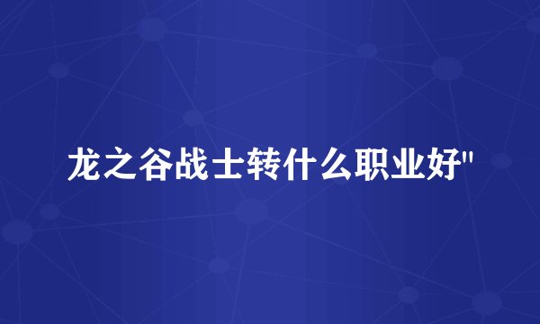 龙之谷战士转什么职业好