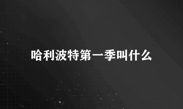哈利波特第一季叫什么