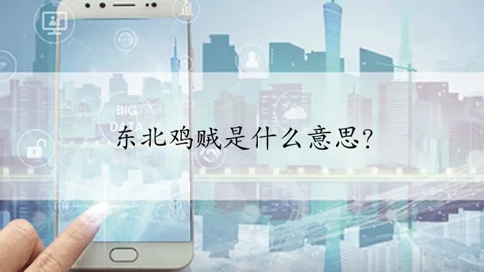 东北鸡贼是什么意思？
