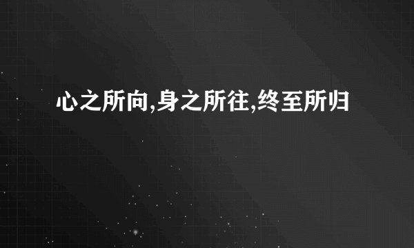心之所向,身之所往,终至所归