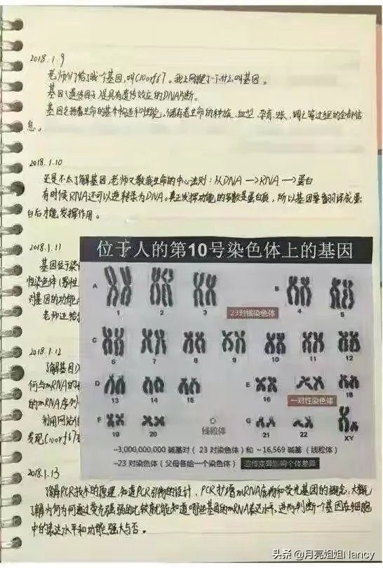 小学生研究癌症获奖遭质疑,一等奖撤销。青少年该不该搞科研?