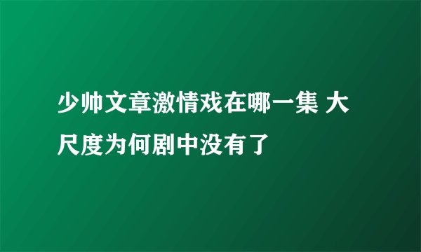 少帅文章激情戏在哪一集 大尺度为何剧中没有了