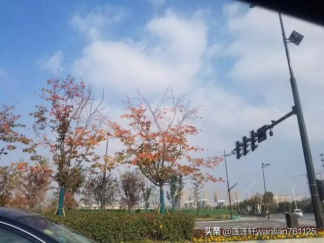 给每个员工发一只猫,等员工离职的话要把猫退还给公司,这样做可以起到稳定团队的作用吗?