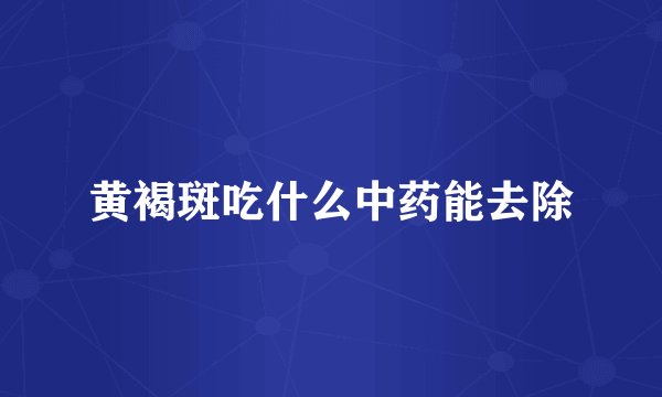 黄褐斑吃什么中药能去除