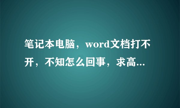 笔记本电脑,word文档打不开,不知怎么回事,求高手帮帮忙