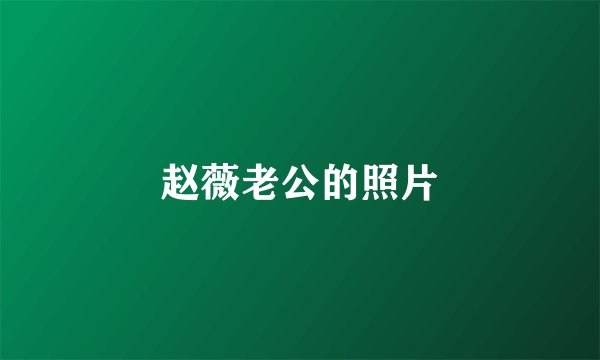 赵薇老公的照片