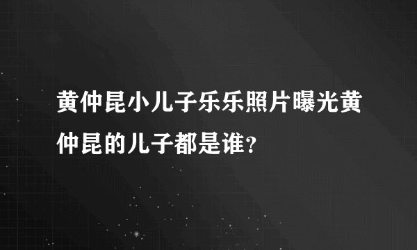 黄仲昆小儿子乐乐照片曝光黄仲昆的儿子都是谁？
