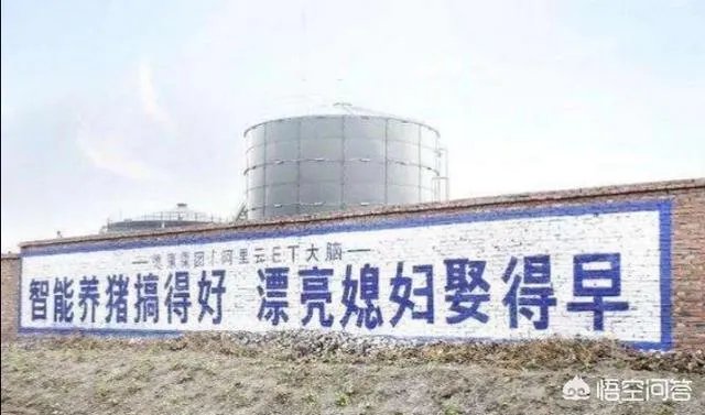 “人工智能养猪”的行为到底靠不靠谱？