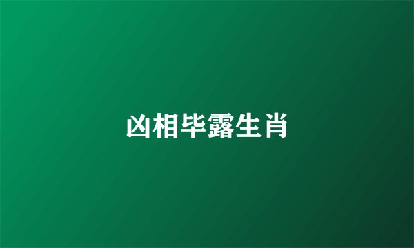 凶相毕露生肖
