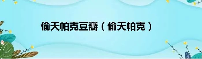 偷天帕克豆瓣（偷天帕克）