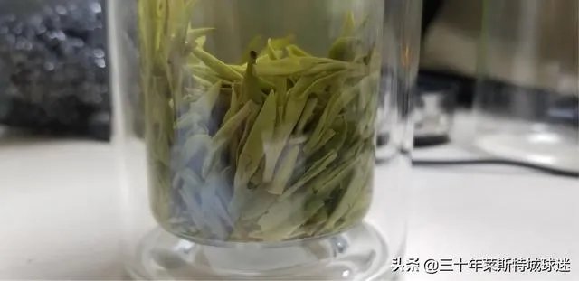 中茶108这个品种有何优缺点?