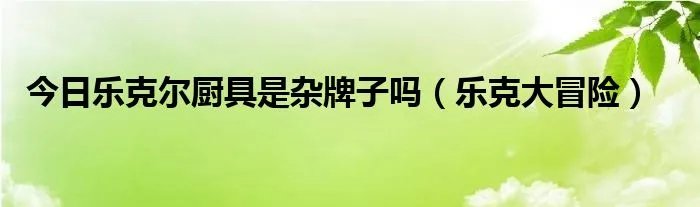 今日乐克尔厨具是杂牌子吗（乐克大冒险）