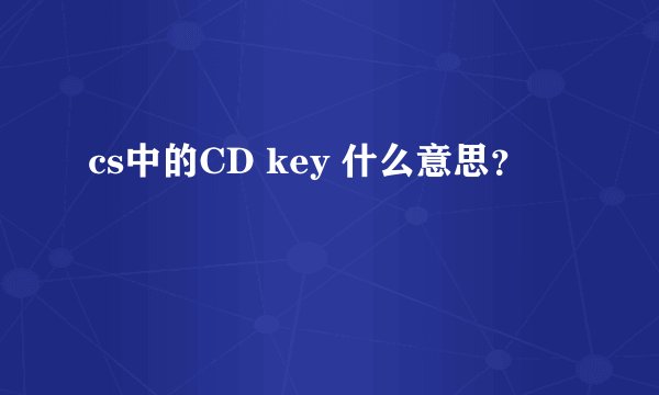 cs中的CD key 什么意思？
