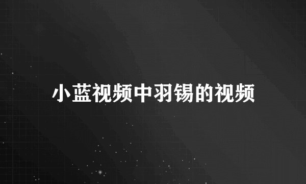 小蓝视频中羽锡的视频