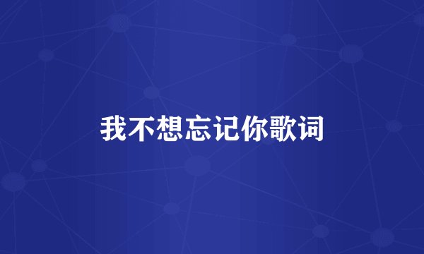 我不想忘记你歌词