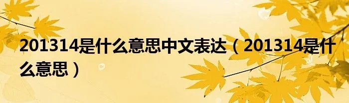 201314是什么意思中文表达（201314是什么意思）