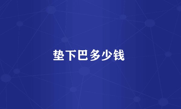 垫下巴多少钱 