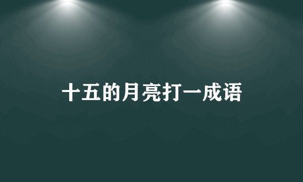 十五的月亮打一成语