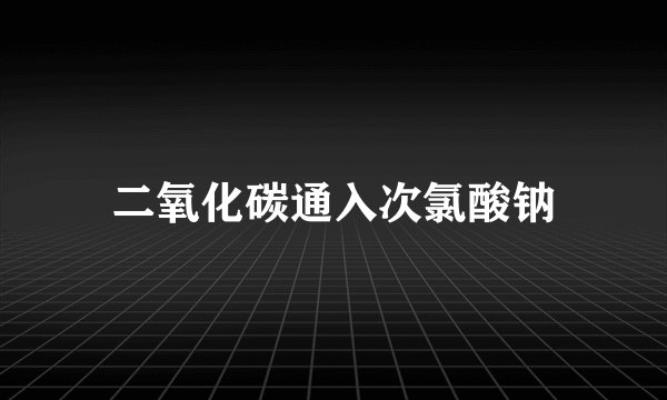 二氧化碳通入次氯酸钠