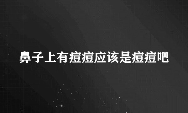 鼻子上有痘痘应该是痘痘吧