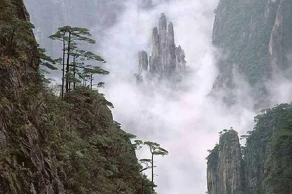 庐山多名游客遭雷击，为什么伤者全都大难不死？