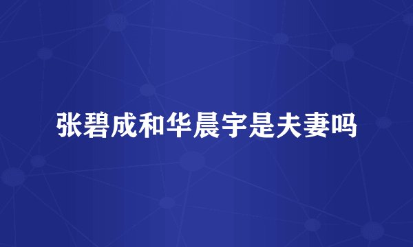 张碧成和华晨宇是夫妻吗