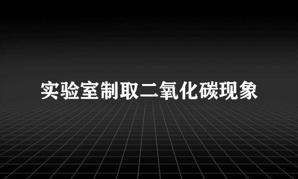 实验室制取二氧化碳现象