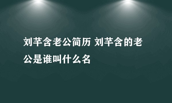 刘芊含老公简历 刘芊含的老公是谁叫什么名