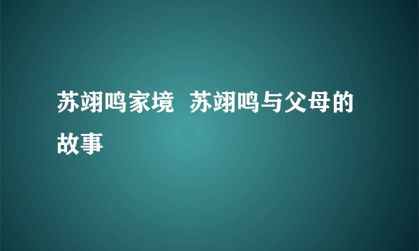 苏翊鸣家境  苏翊鸣与父母的故事