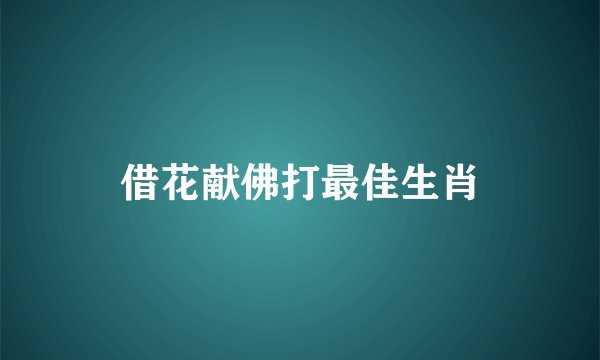 借花献佛打最佳生肖