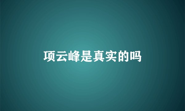 项云峰是真实的吗