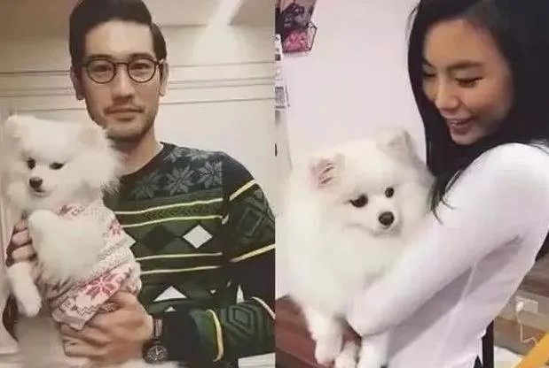 高以翔女友的个人资料:高以翔女友名字与家庭背景