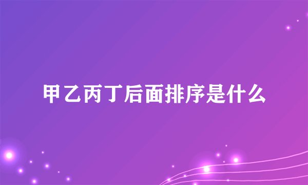 甲乙丙丁后面排序是什么