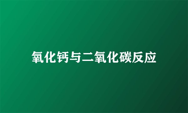 氧化钙与二氧化碳反应