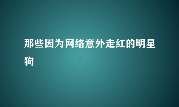 那些因为网络意外走红的明星狗