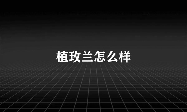 植玫兰怎么样