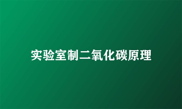 实验室制二氧化碳原理