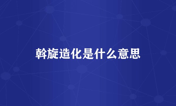 斡旋造化是什么意思