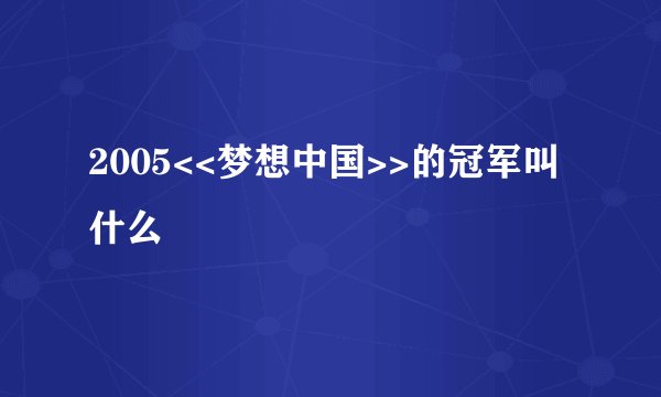2005<<梦想中国>>的冠军叫什么
