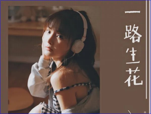 网络最红的二十首歌曲