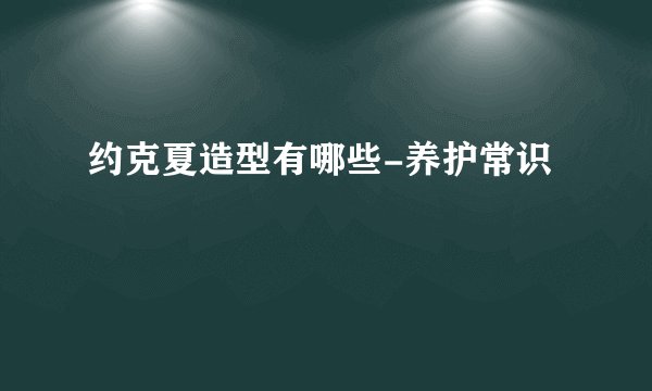 约克夏造型有哪些-养护常识