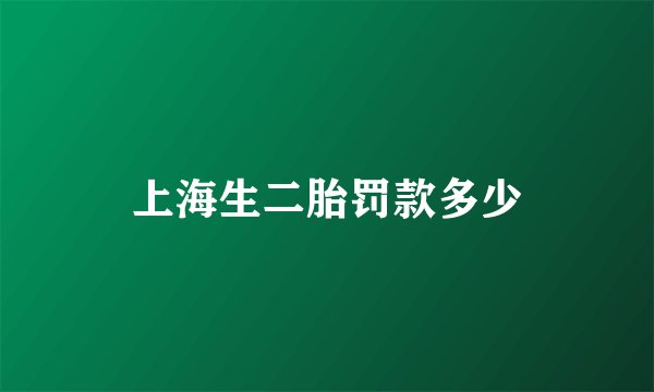 上海生二胎罚款多少