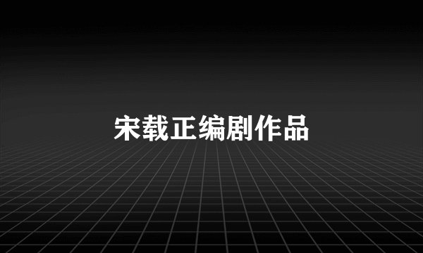 宋载正编剧作品