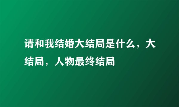 请和我结婚大结局是什么,大结局,人物最终结局