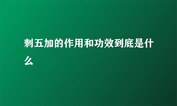 刺五加的作用和功效到底是什么