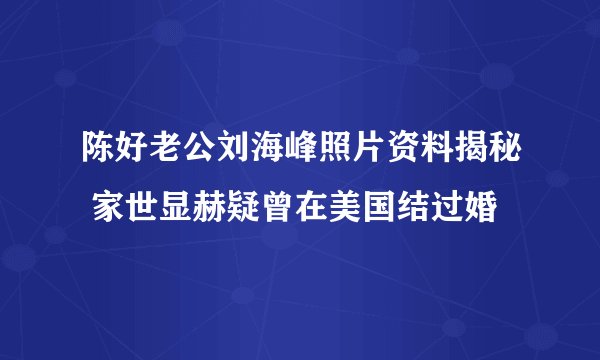 陈好老公刘海峰照片资料揭秘 家世显赫疑曾在美国结过婚