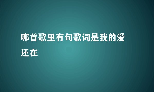 哪首歌里有句歌词是我的爱  还在