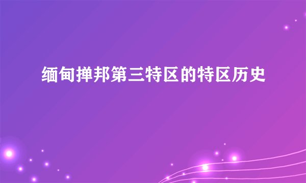 缅甸掸邦第三特区的特区历史