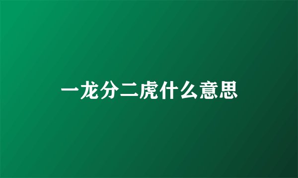 一龙分二虎什么意思