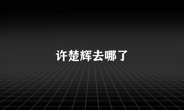 许楚辉去哪了
